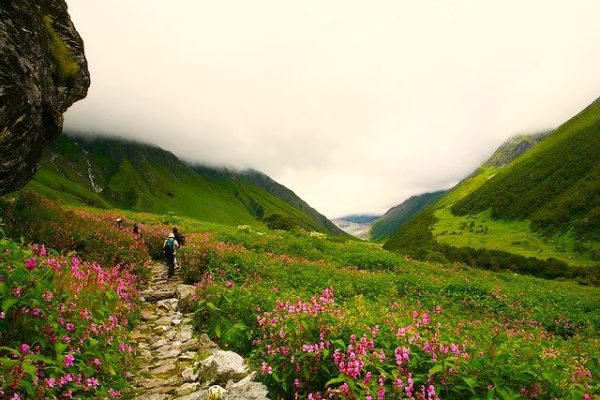Valley of Flowers Trek